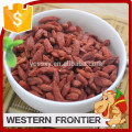 2016 Hot sale top quality with low price goji berry